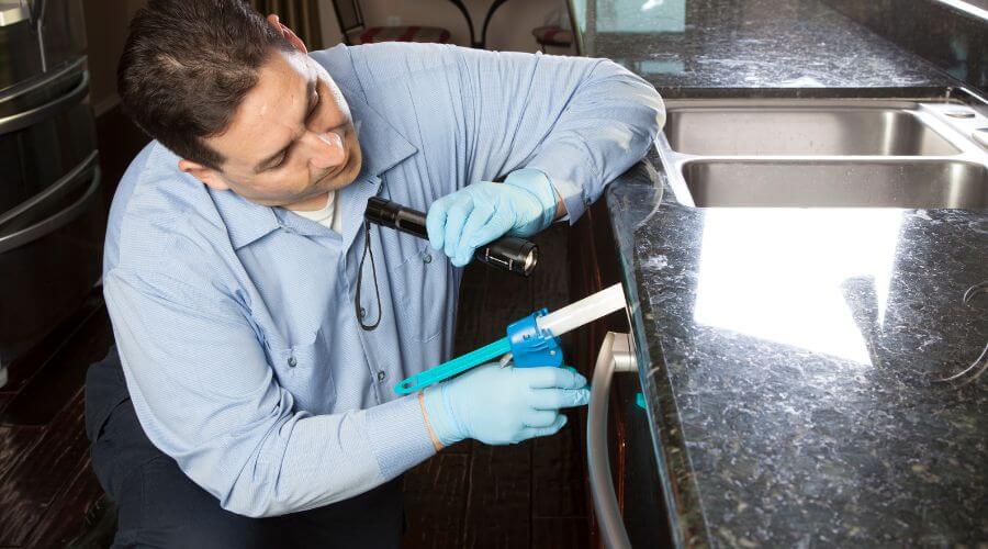 Professional pest control services in Citrus Heights